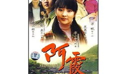 电视剧阿霞演员表,实力派明星齐聚一堂，演绎感人故事